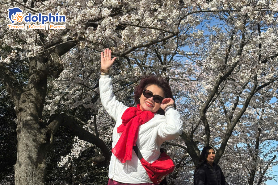 [21.03.2026] LỄ HỘI HOA ANH ĐÀO NƯỚC MỸ