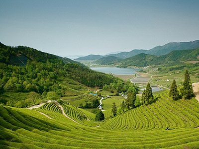 Cẩm nang du lịch Hàn Quốc : Khám phá Jeollanam - địa danh thanh bình nhất xứ Hàn