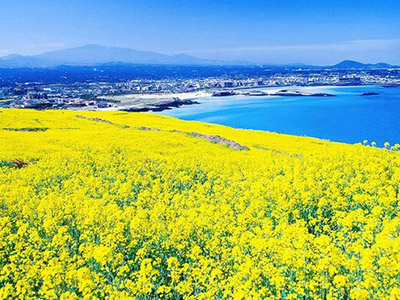 6 cảnh đẹp xứ Hàn sẽ  khiến bạn muốn xác ba lô lên và đi