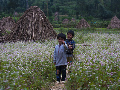 Hà Giang sẽ có 21 điểm phát sóng wifi miễn phí