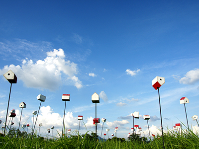 30 bức ảnh về vẻ đẹp của công viên ngoài trời Hàn Quốc