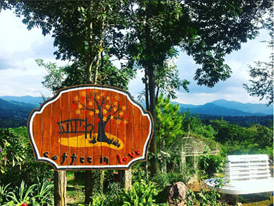 Quán cà phê dễ thương coffee in love xinh xắn mà ai cũng ghé khi đến Pai của Thái Lan