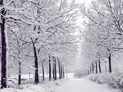 Những địa điểm du lịch Hàn Quốc hấp dẫn vào mùa đông