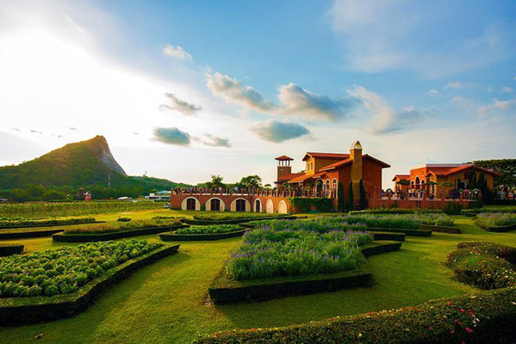 Khám phá vẻ đẹp của vườn nho trông như ngoại ô châu Âu ở Pattaya Thái Lan