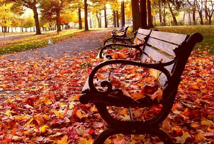 Hàn Quốc Đẹp Mơ Màng Trong Sắc Trời MùaThu