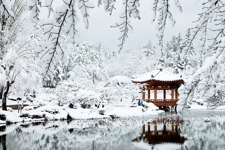 Khám Phá Vẻ Đẹp Của Hàn Quốc Vào Mùa Đông