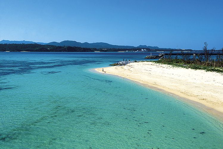 Những Lí Do Nên Đến Nhật Bản Vào Mùa Hè