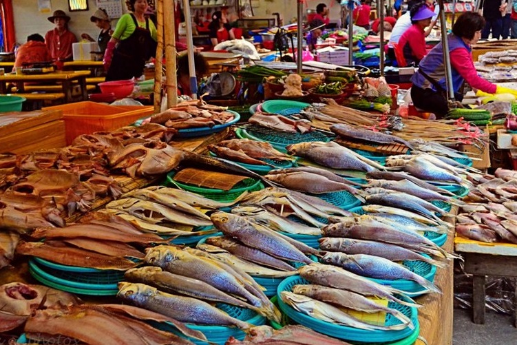 Khám Phá Chợ Hải Sản Jagalchi Lớn Nhất Busan Hàn Quốc