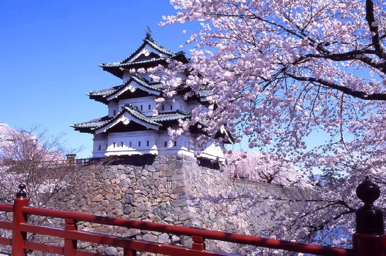 Thăm Quan Thành Osaka – Biểu Tượng Của Thành Phố Osaka Nhật Bản