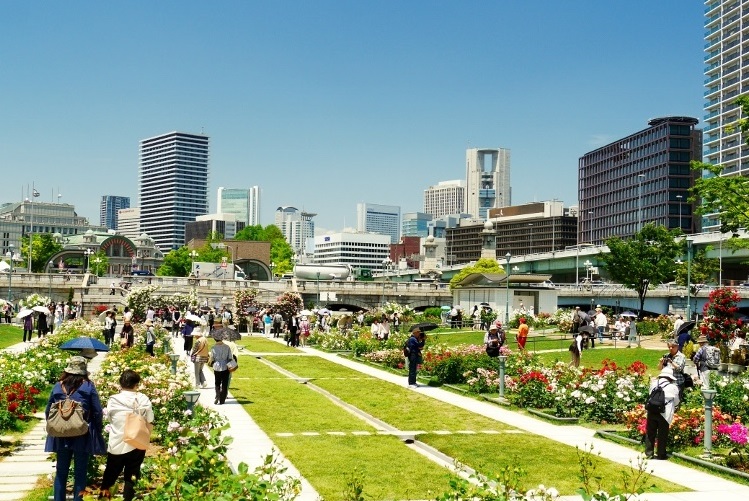 Nghỉ Ngơi Thư Giãn Tại Công Viên Nakanoshima Osaka Nhật Bản