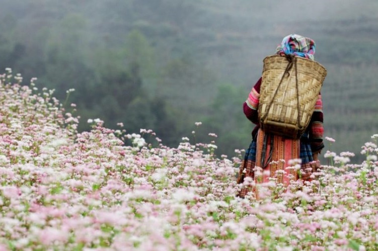 Những Địa Điểm Du Lịch Hấp Dẫn Gần Hà Nội Dịp Quốc Khánh 2-9