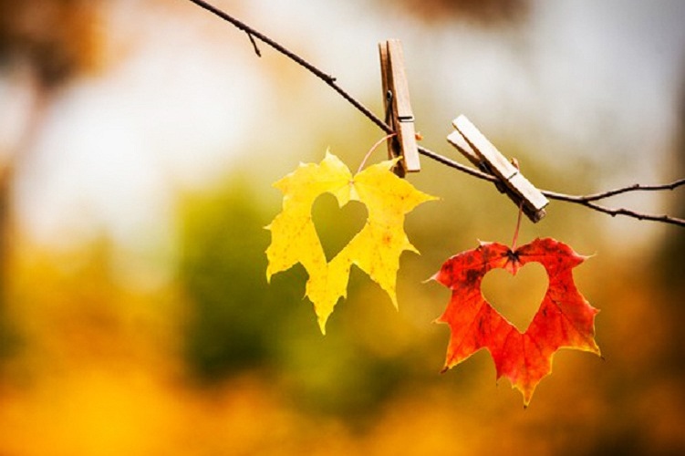 Những Lí Do Nên Đi Du Lịch Vào Mùa Thu