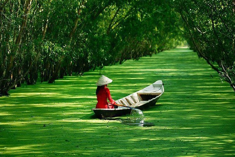 Du Lịch Khám Phá Trải Nghiệm Miền Tây Sông Nước