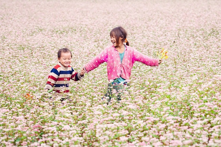 Cẩm Nang Khám Phá Địa Điểm Lý Tưởng Du Lịch Mùa Thu