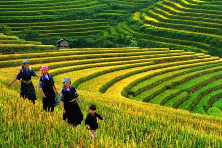 Khám Phá Những Điểm Đến Hấp Dẫn Tại Hà Giang