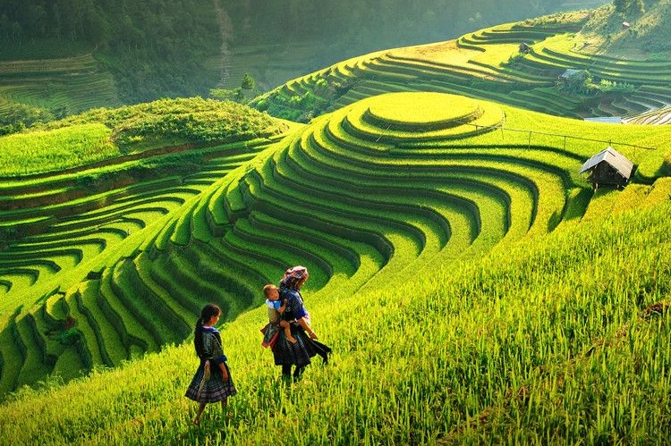 Vẻ Đẹp Hoàng Su Phì Hà Giang Mùa Thu Về