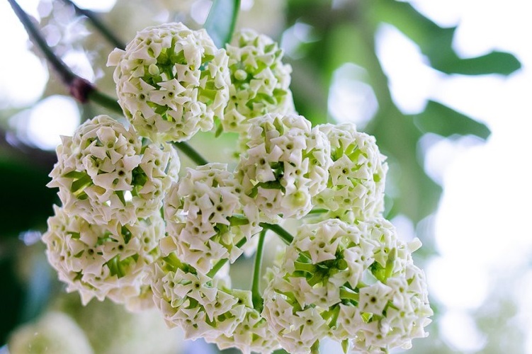 Ngắm Hà Nội Vào Thu Bình Yên Đến Lạ