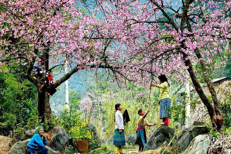 Ngắm Một Mai Châu Yên Bình Đến Lạ