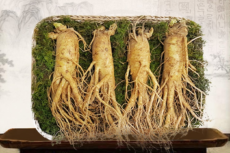 Những Kinh Nghiệm Mua Nhân Sâm Khi Đi Du Lịch Hàn Quốc