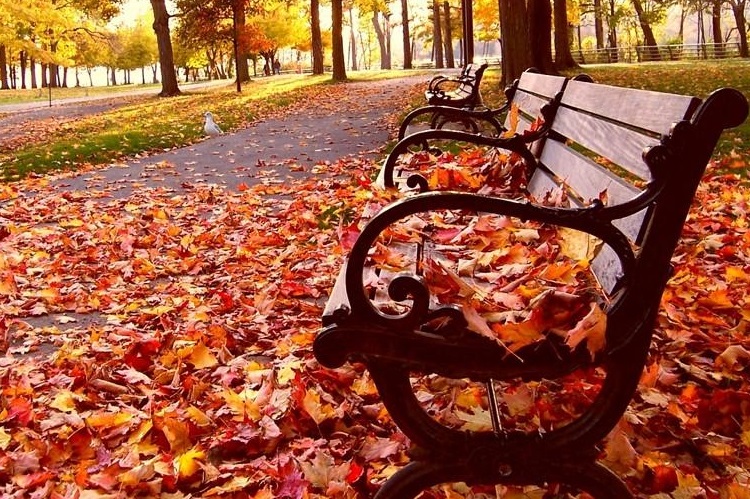 Những Lí Do Nên Du Lịch Hàn Quốc Vào Mùa Thu