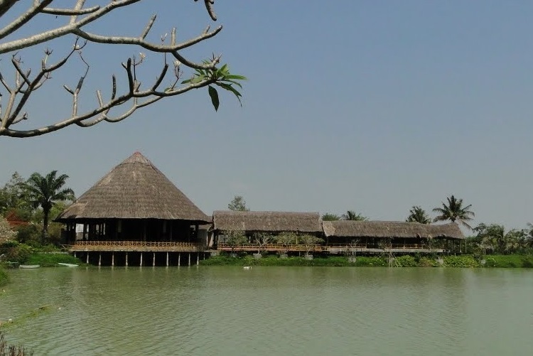 Có Một “Tây Nguyên Thu Nhỏ” Ở Củ Chi Cách Sài Gòn 50km