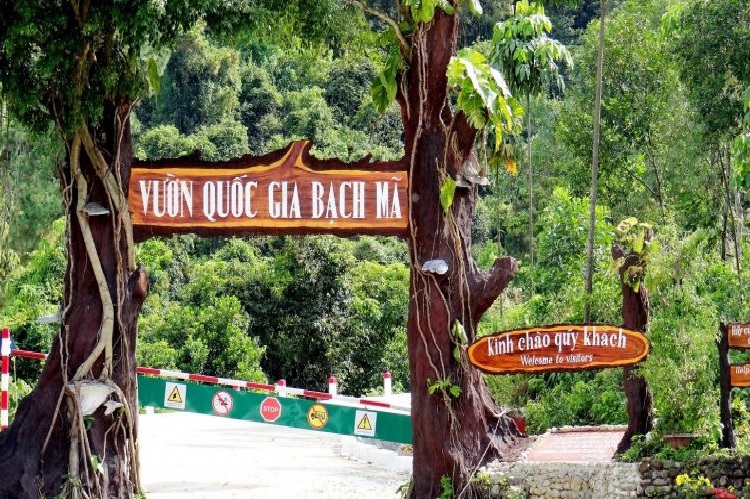 Khám Phá Những Điều Thú Vị Của Rừng Quốc Gia Bạch Mã