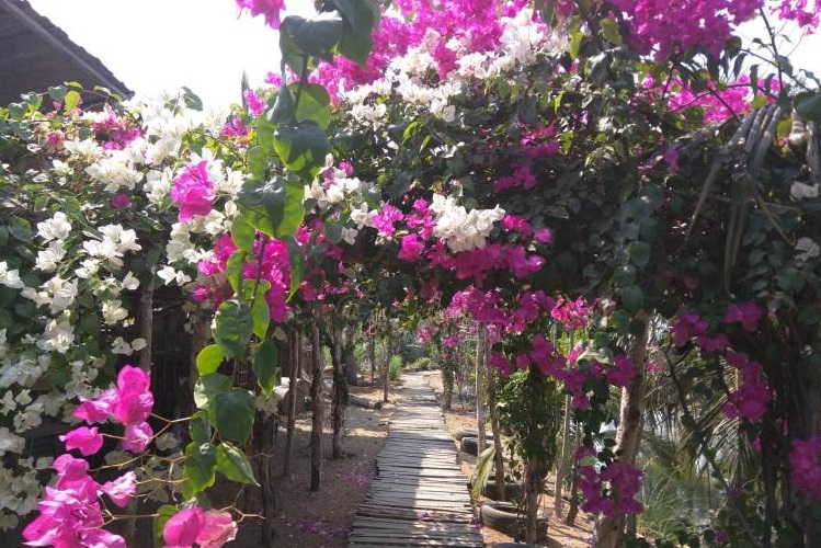 Có Một Nông Trang Cực Chất Giữa Lòng Sài Gòn