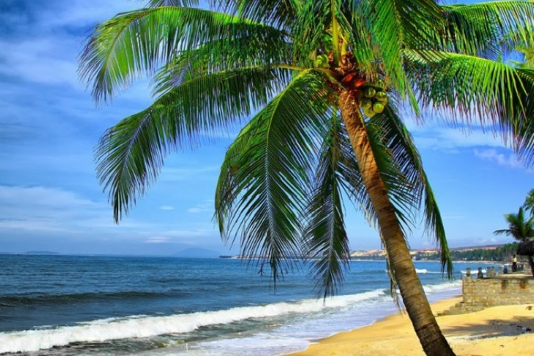 Những Địa Điểm Đẹp Thơ Mộng Ở Phan Thiết