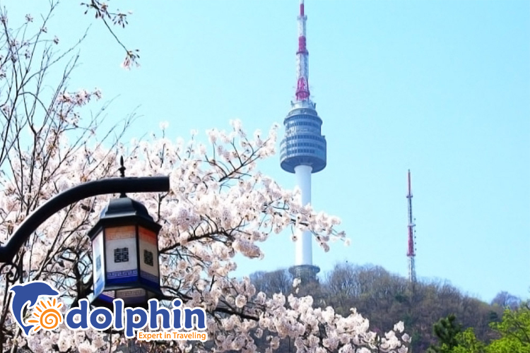 Top 5 điều cần làm cho ngày Valentine lãng mạn tại Seoul