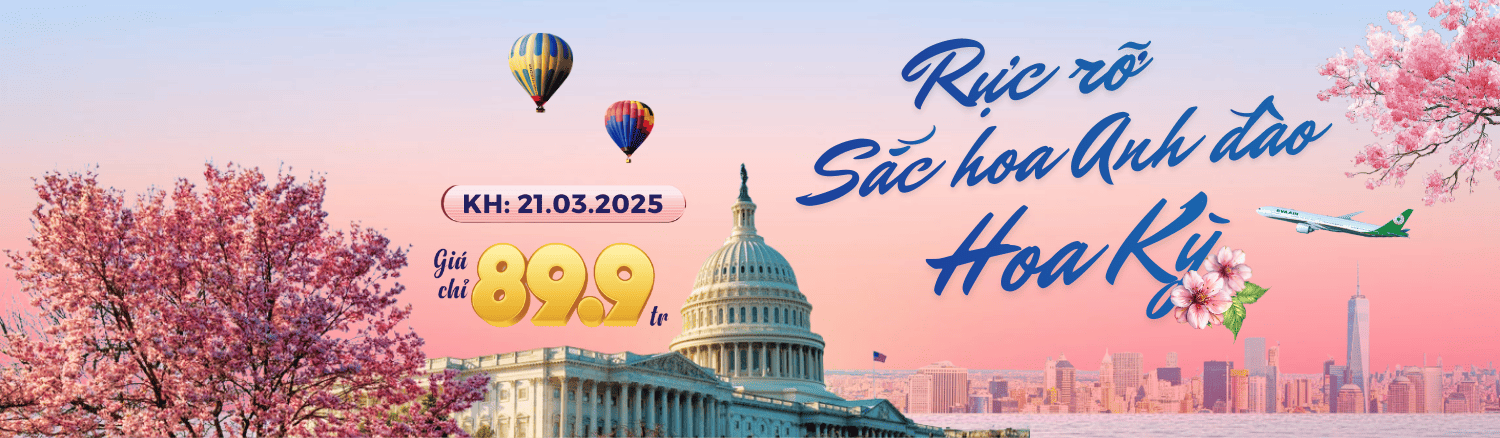 HOA ANH ĐÀO HOA KỲ